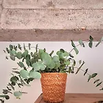 Haizean Gorliz, Lujo En El Puerto De Apartament Plentzia