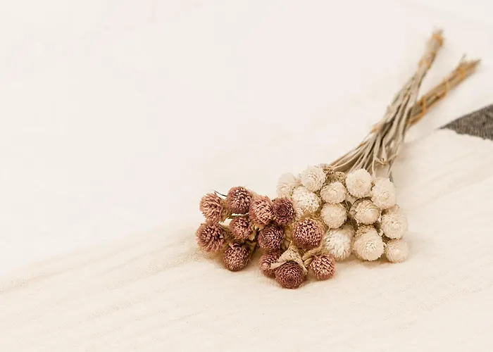 Apartment Haizean Gorliz, Lujo En El Puerto De Plentzia