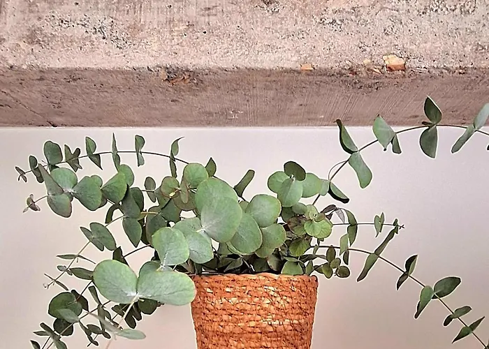 Haizean Gorliz, Lujo En El Puerto De Lejlighed Plentzia